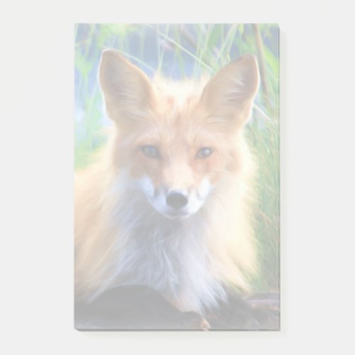 Red Fox Laying in the Grass Wildlife Image Post_it Notes