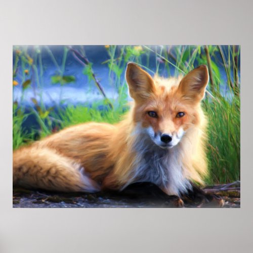 Red Fox Laying in the Grass Wildlife Image Poster