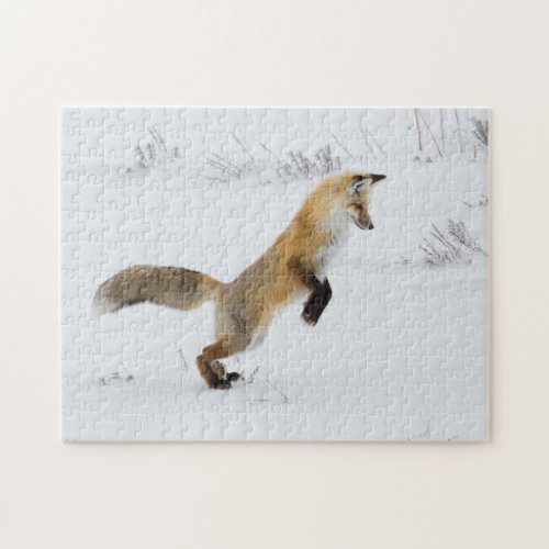 Red Fox Leaps in Snow Jigsaw Puzzle