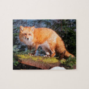 Red Fox on a log Jigsaw Puzzle