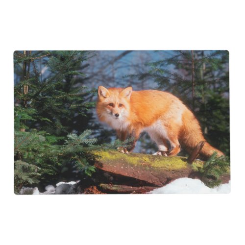 Red Fox on a log Placemat