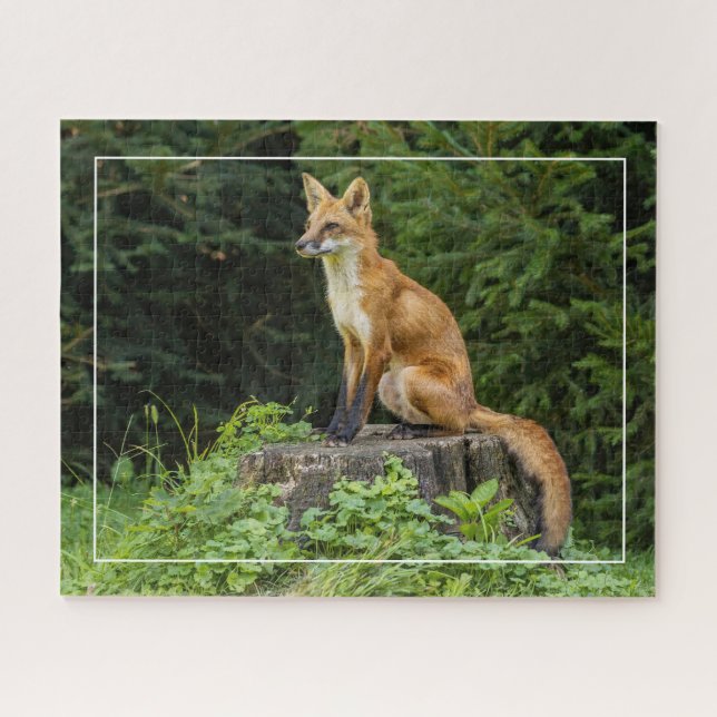 Red Fox On A Pedestal  Jigsaw Puzzle (Horizontal)