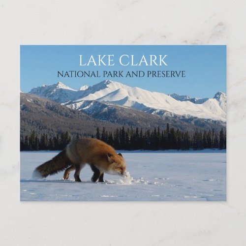 Red Fox on Snowy Lake Telaquana Lake Clark NPP Postcard