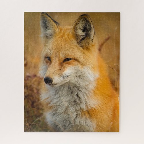 Red Fox Photo Puzzle