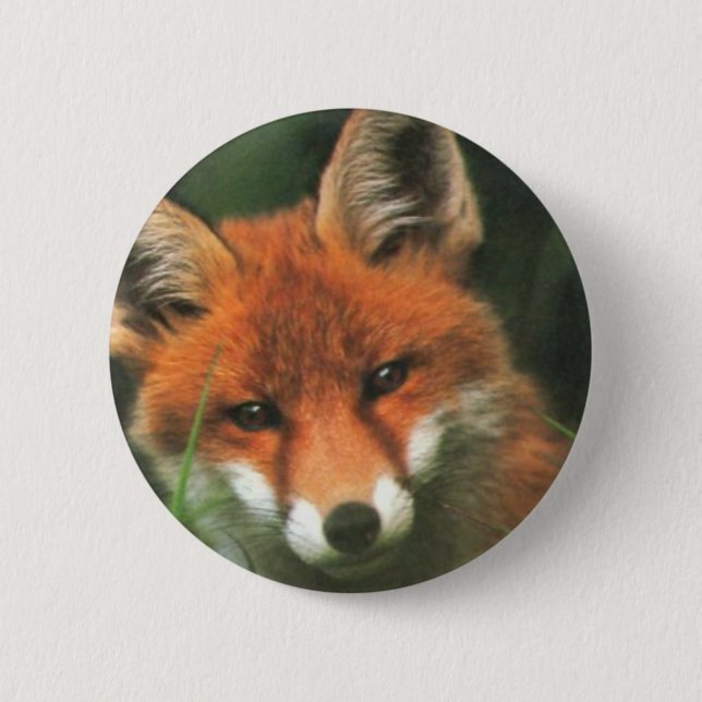 Red Fox Pinback Button (Front)