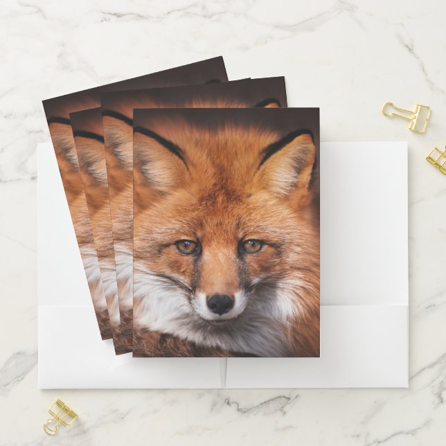 Red Fox Pocket Folder (In Situ)