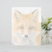 Red Fox Portrait (Standing Front)