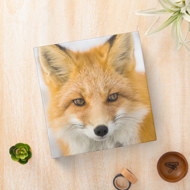 Red Fox Portrait 3 Ring Binder (In Situ)