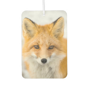 Red Fox Portrait Air Freshener