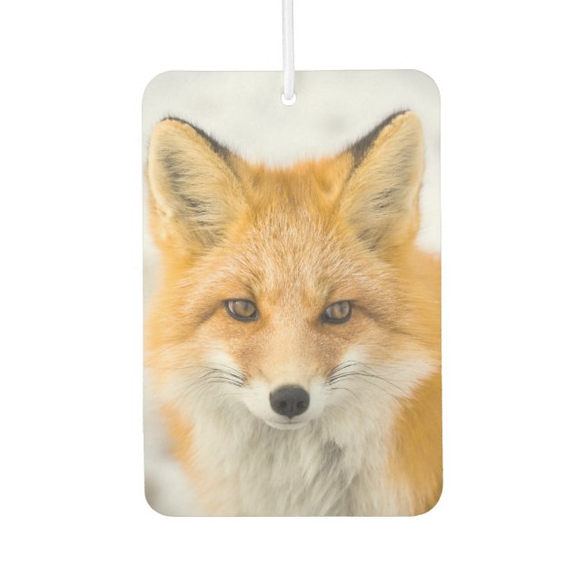 Red Fox Portrait Air Freshener (Front)
