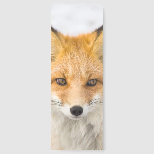 Red Fox Portrait Bookmarks (Front)