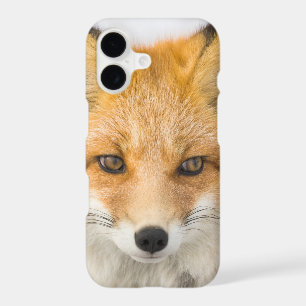 Red Fox Portrait iPhone 17 Case