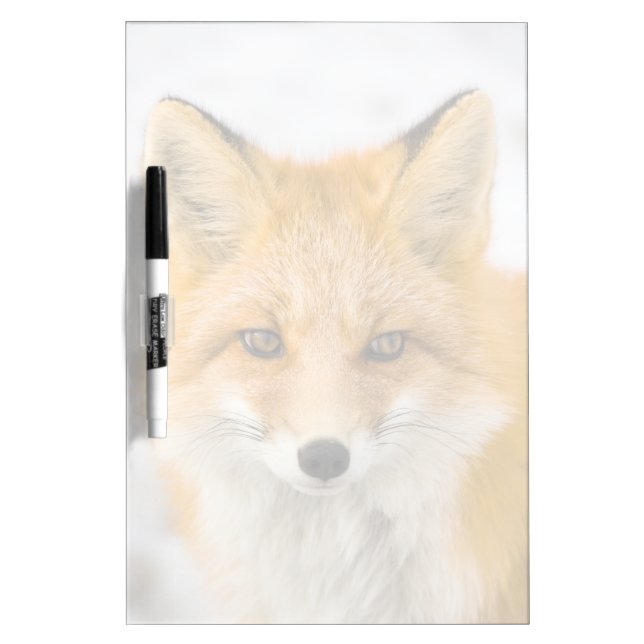 Red Fox Portrait Dry Erase Board (Front)
