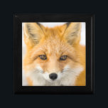 Red Fox Portrait Gift Box<br><div class="desc">Red fox in Alaska's Arctic,  Atigun Pass,  Brooks Range</div>