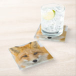 Red Fox Portrait Glass Coaster<br><div class="desc">Red fox in Alaska's Arctic,  Atigun Pass,  Brooks Range</div>