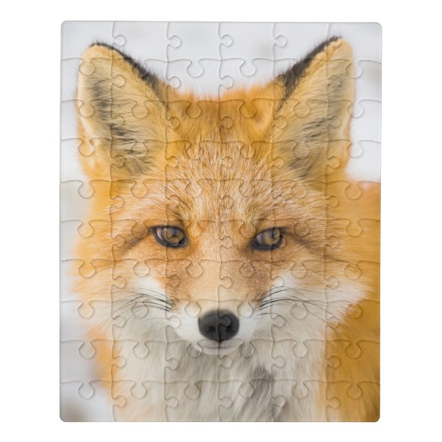 Red Fox Portrait Jigsaw Puzzle (Puzzle Vertical)
