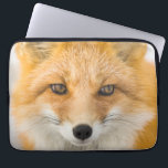Red Fox Portrait Laptop Sleeve<br><div class="desc">Red fox in Alaska's Arctic,  Atigun Pass,  Brooks Range</div>