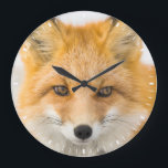Red Fox Portrait Large Clock<br><div class="desc">Red fox in Alaska's Arctic,  Atigun Pass,  Brooks Range</div>