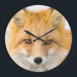 Red Fox Portrait Large Clock<br><div class="desc">Red fox in Alaska's Arctic,  Atigun Pass,  Brooks Range</div>