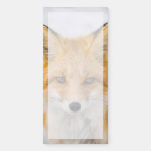 Red Fox Portrait Magnetic Notepad