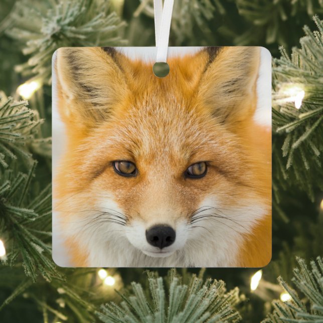 Red Fox Portrait Metal Ornament (Insitu)