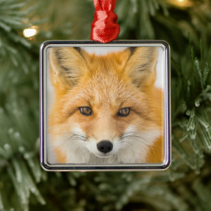Red Fox Portrait Metal Ornament