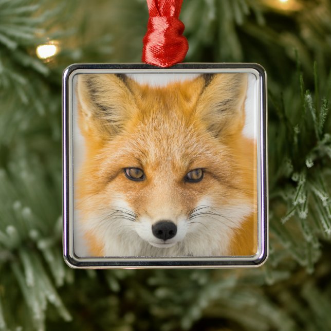 Red Fox Portrait Metal Ornament (Tree)