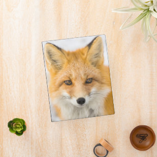 Red Fox Portrait Mini Binder