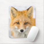 Red Fox Portrait Mouse Pad<br><div class="desc">Red fox in Alaska's Arctic,  Atigun Pass,  Brooks Range</div>