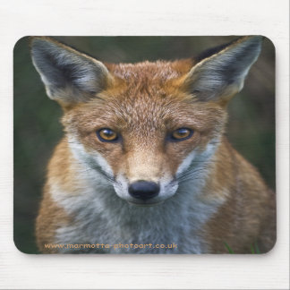 Red Fox Portrait Mousemat Mouse Pad