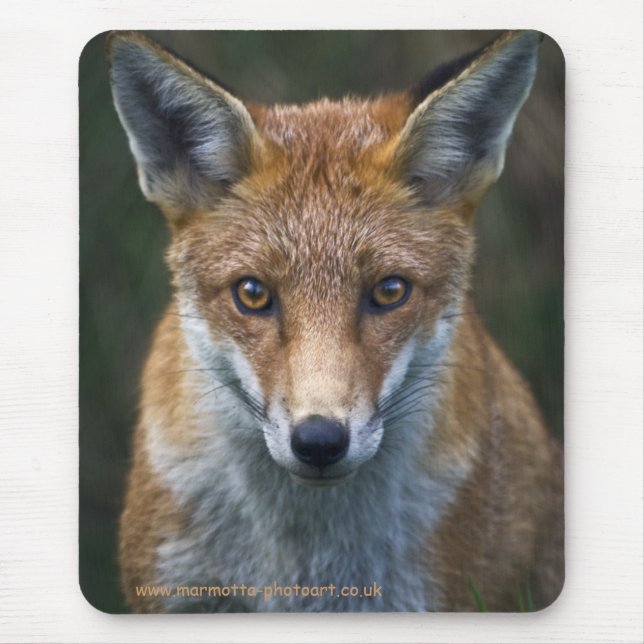 Red Fox Portrait Mousemat Mouse Pad (Front)