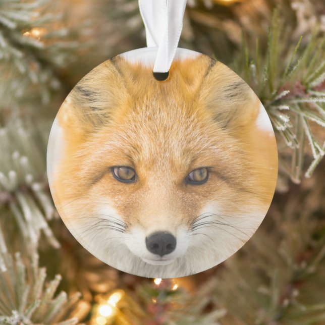 Red Fox Portrait Ornament (Tree)
