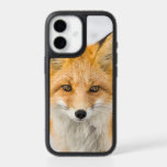Red Fox Portrait iPhone 17 Case<br><div class="desc">Red fox in Alaska's Arctic,  Atigun Pass,  Brooks Range</div>