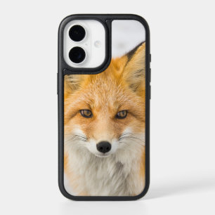 Red Fox Portrait iPhone 17 Case
