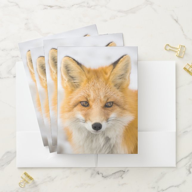 Red Fox Portrait Pocket Folder (In Situ)
