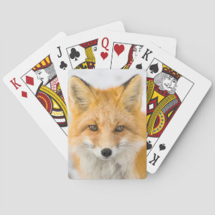 Red Fox Portrait Poker Cards