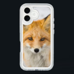Red Fox Portrait iPhone 16 Case<br><div class="desc">Red fox in Alaska's Arctic,  Atigun Pass,  Brooks Range</div>