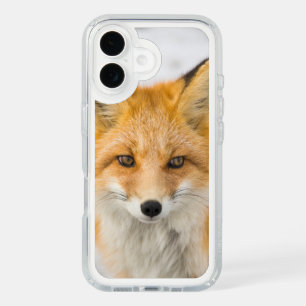 Red Fox Portrait iPhone 16 Case