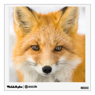 Red Fox Portrait Wall Decal