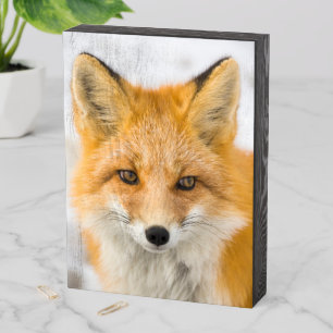 Red Fox Portrait Wooden Box Sign