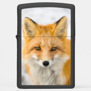 Red Fox Portrait Zippo Lighter