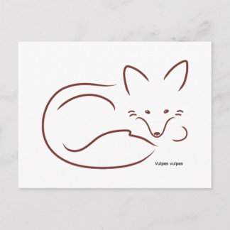 Red Fox Postcard