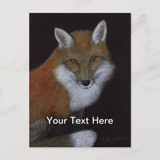 Red Fox Postcard (Front)