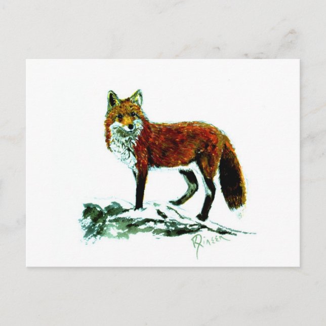 Red Fox Postcard (Front)