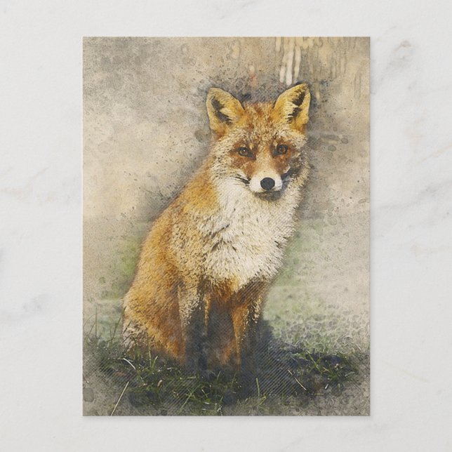 Red Fox Postcard (Front)