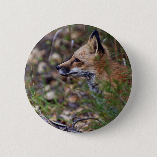 Red Fox - Profile of a Fox Button (Front)