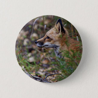 Red Fox - Profile of a Fox Button