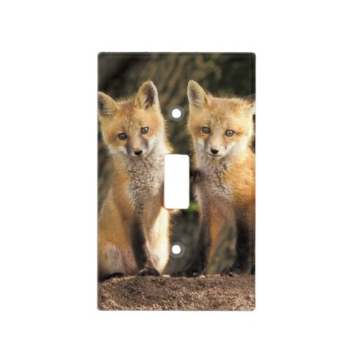 Red Fox pup in front of den Vulpes vulpes Light Switch Cover