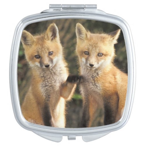 Red Fox pup in front of den Vulpes vulpes Mirror For Makeup