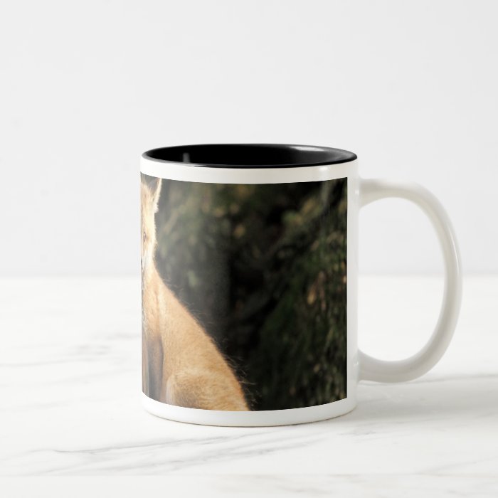 Red Fox pup in front of den Vulpes vulpes) Coffee Mug